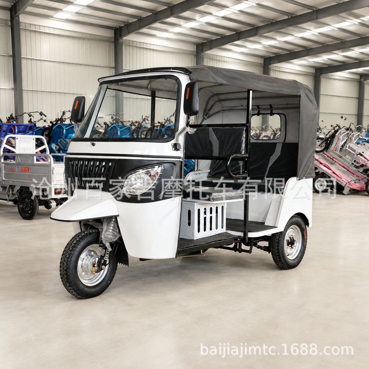 Cross-border fuel-powered tricycle for 6-9 passengers, three-wheeled motorcycle with three or two rows of seats, gasoline-powered, manufacturer-approved
