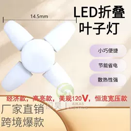 LED球泡灯;LED应急灯;野营/露营灯