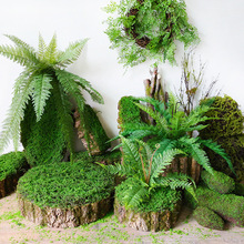 ɭϵ�ֹ�������̦��Ƥ�����A���L����̦�\�����b廨�첼���ز�