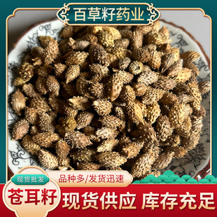 �n���������ș���n���Ѵ�؛���l��������ă� �F؛�Ȱl�Ƀ��o�s
