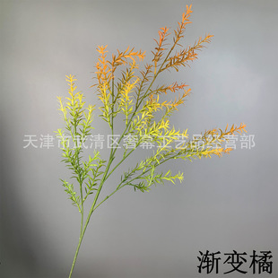 ϻɫСˮ Yñþ^ֲ廨Ql