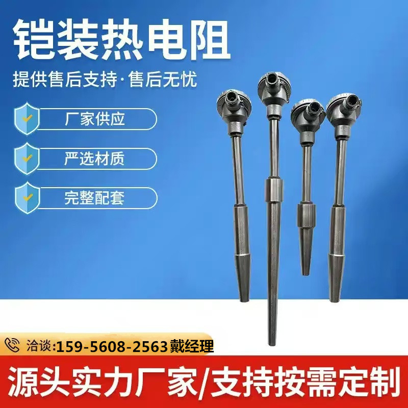 贸诚仪表 铂热电阻WZP2-130,WZP2-131,pt100,L=650MM 0-500℃