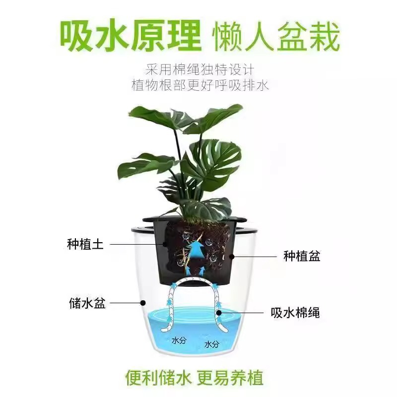 怠け者の植木鉢、自動吸水性ポトス植木鉢、怠け者の鉢、水耕栽培鉢、水やり不要のプラスチック模造セラミック自吸式鉢|undefined