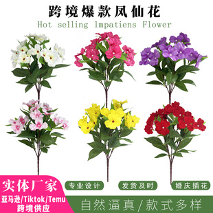 �羳���N�����P�ɻ����N�� �Ҿӑ���ͥԺ�b廨�[�� ���S���l