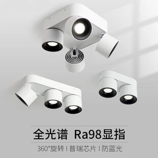 Intelligent multi-head open downlight adjustable angle anti-glare eye protection lamp living room ceiling lamp main aisle entrance lamp