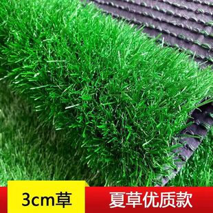 3cm�����ƺ����������׃��@���������Ƥ�G�׾W���ϻ��Ĳ݃�