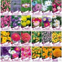 �ջ��N�� �ݻ��N���ļ����N�����^��ֲ��ʰ����ܷN���̨ͥԺ