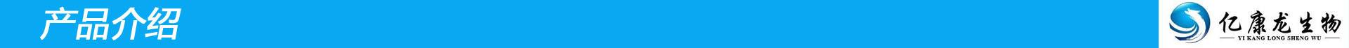 产品介绍