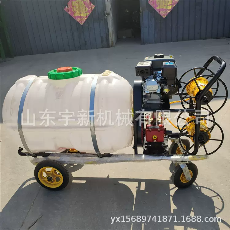 汽油手推式喷药机农作物喷雾器果树杀虫打药机
