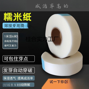 Glutinous Rice Paper Grafting Film for Tree Grafting, Self-Adhesive Fruit Saplings, Roses, No-Disassembly, Biodegradable Wrapping Straps for Commercial Use