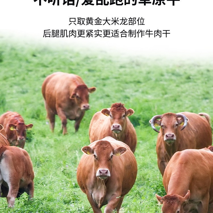 1号牧场劲干牛肉干9风干真肉内蒙古烤风味产即食解馋小零食|undefined