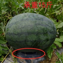 ������Ҏ��S�ҹ���������ω|�����r���r������֧�ܸ�����χ�ƃ