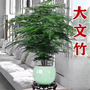 �����������҃ȸ߶�ˮ��ֲ���k���һ����ļ������辰�͏d������B