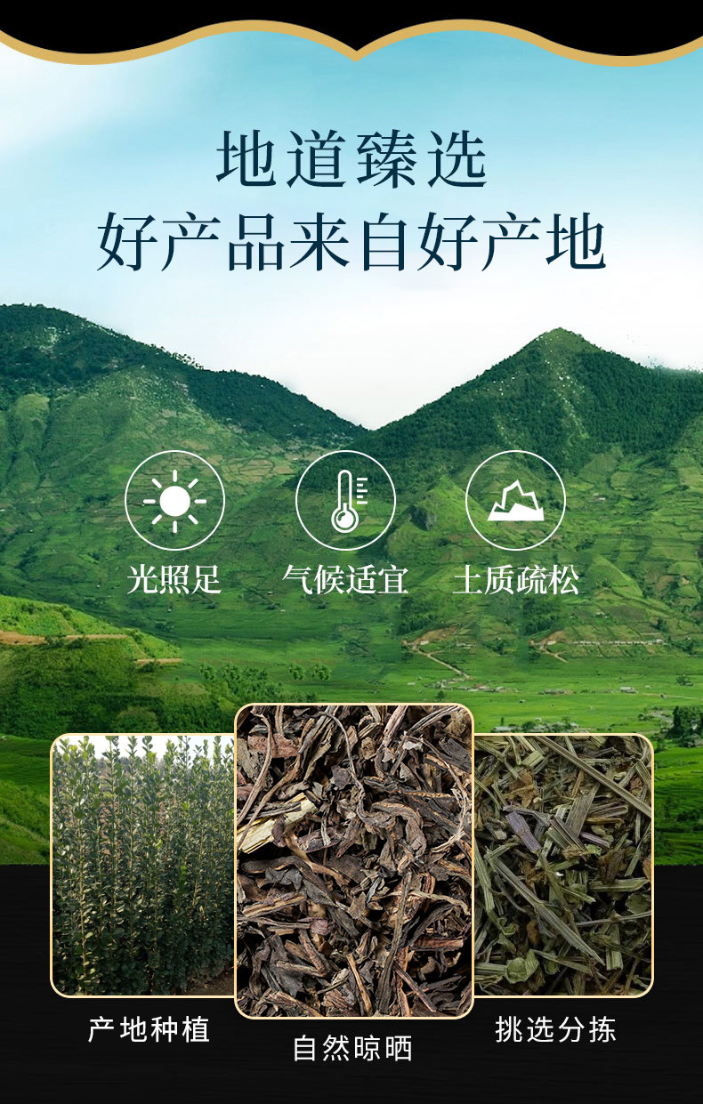 Da Qing Ye (Isatis indigotica Leaf) — Dried Food Herb & Powder, 500g overview