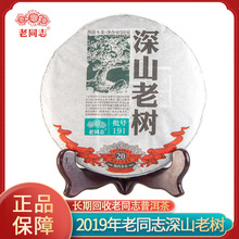 海湾茶业老同志2019年深山老树茶饼500g191批号生茶普洱茶生茶现