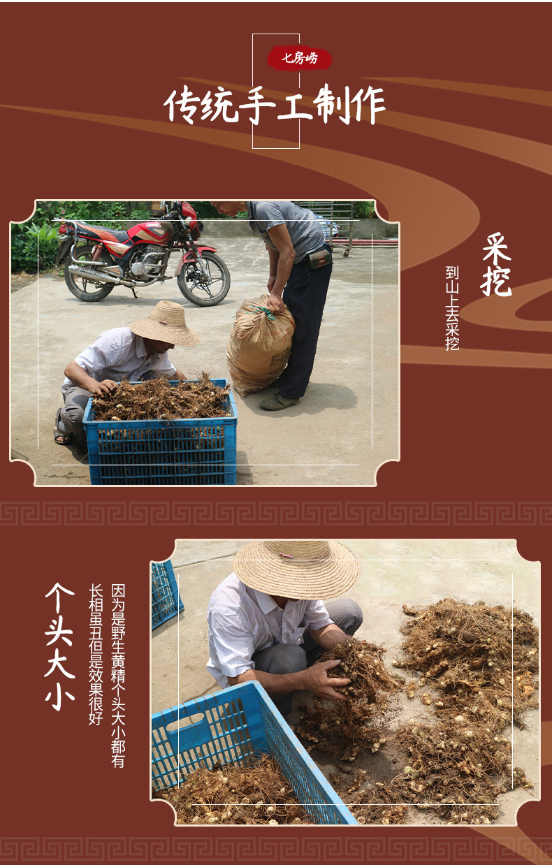 Wild Huang Jing Dried Polygonatum Root Tea Grade 500g Steamed and Sun Dried from Jiuhua Mountain Anhui specifications