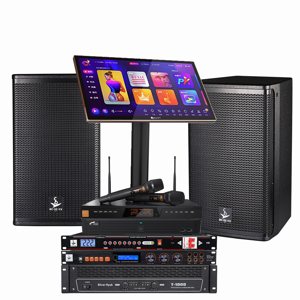 Sistema de audio profesional integral para bares, uso doméstico, salas de conferencias, estudios de baile, conjunto de audio KTV, audio para karaoke.