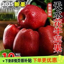 甘肃天水花牛苹果新鲜水果时令红蛇果冰糖心沙果10斤整箱中国其他