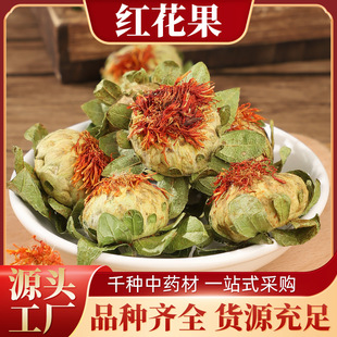 �t�������� �t���^ �ؼt�� ������