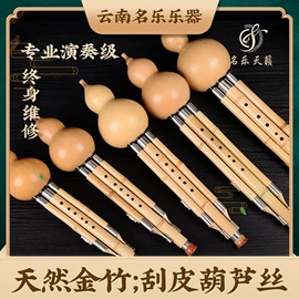 吹奏类乐器