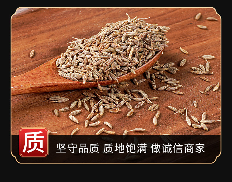 Cumin Powder (Cuminum cyminum) — Xinjiang-Grown Culinary Spice, 500g quality and texture