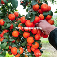 �o��ɰ���٘���޽��������ͥԺ�������Խ��Ә�������箔��Y��
