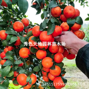 �o��ɰ���٘���޽��������ͥԺ�������Խ��Ә�������箔��Y��