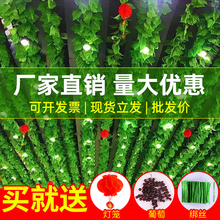 �G�~�b��ٗl�����~�Ӽ٘��~�G�}��픻��������Gֲ������ֲ��