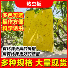 �S��ճ�x���T�x���S�� ������@�ˈ@���ò��x�N�T�x���ω�����l