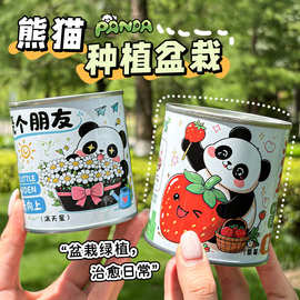 儿童可爱熊猫种植小盆栽小学生创意礼品手工DIY植物绿植罐头盆栽