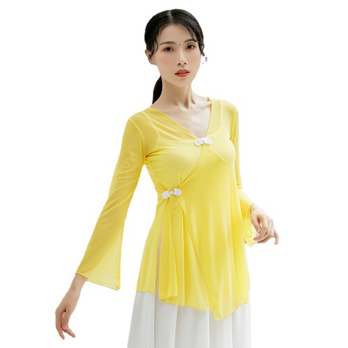 Classical dance rhyme gauze clothing art test dance practice clothing Chinese style ethnic ballet teacher modern dancer performance clothing