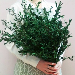 細いユーカリの葉の乾いた花の永生の花ユーカリの葉の乾いた花は国境を越えて熱売して代行して家の装飾の浴室の装飾を代行します。