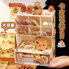 Cappella Transparent Slant Insert Pen Holder Large Capacity Student Desk Organizer for Girls and Boys High Fashion