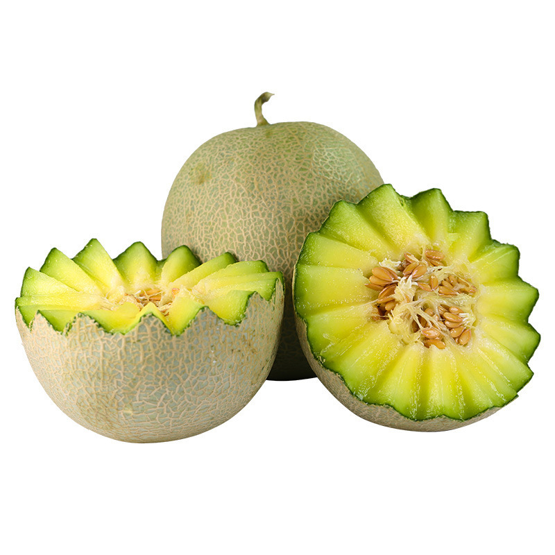 Meilong Melon Netted Melon Fresh Fruit Seasonal Whole Box Seasonal Netted Melon Melon Drop Shipping