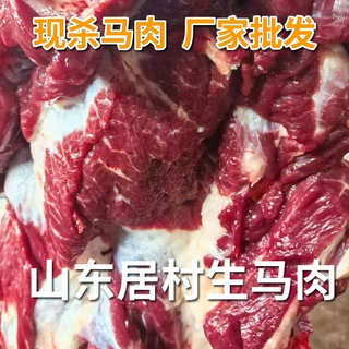 定制新鲜马肉山东临沂生马肉批发部位数量可定制源头加工厂