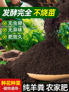 ��S�l���ЙC�����߲˷N�˻���ͨ�ø�����ɹ��w����