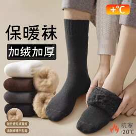 男女拉绒毛圈袜秋冬中筒毛圈加绒加厚冬天保暖睡眠地板长筒袜长袜