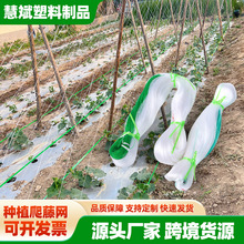 �r��ֲ�����پWɽș���ǽz�ϵ��Ͽ���S�ϰ�������������W