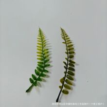 �������ϲ�˹ˮ���b���DIY����ɭϵ�Ʒ�������Gֲ���