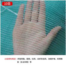 �O�W�~�W���Bֳ�W����С���r���ӾW���W�g�z�W�~���o�¾W�WƬ