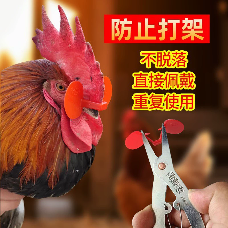 Куриные очки без болтов