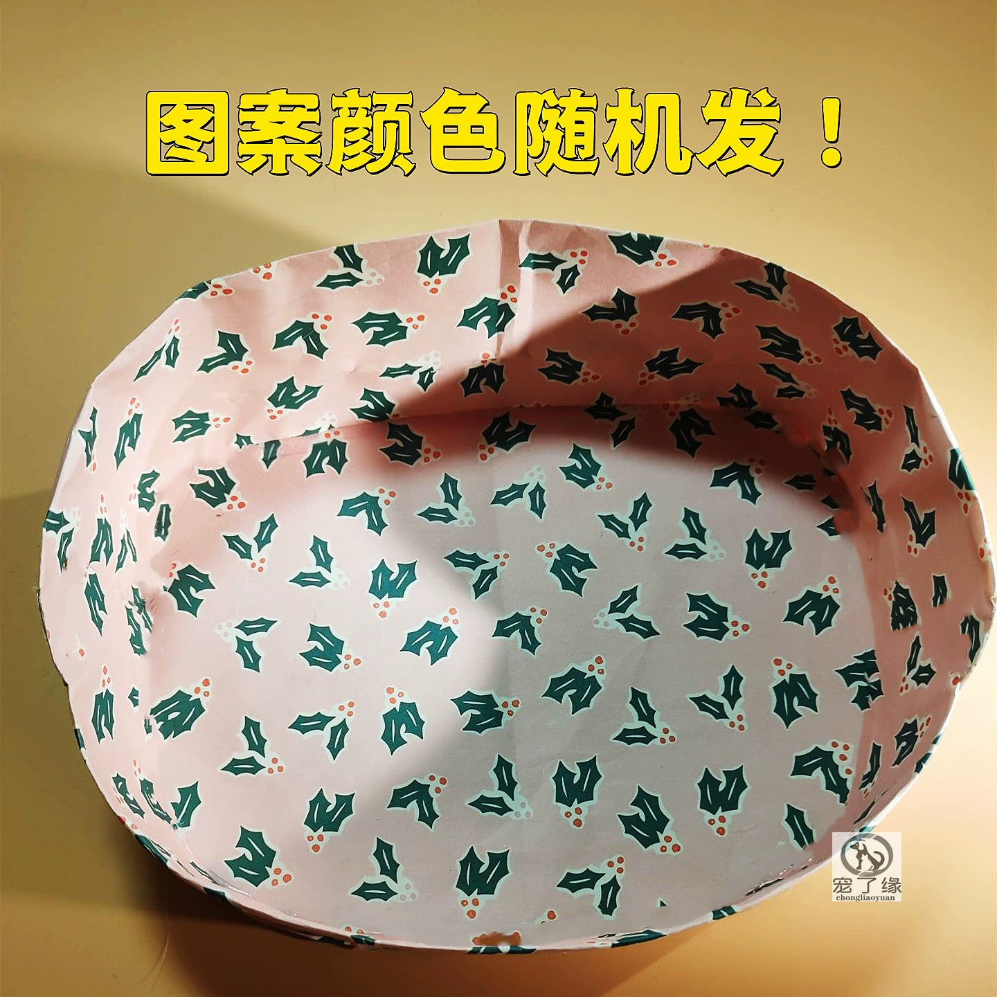 Домашние животные похоронены с похоронными похоронами Кошки и собаки умирают, похоронены первые пять хвостов и семь кремации