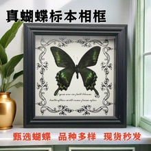 �G�����P��������˱���� DIY�͹����젝�Ҿ��b����նY��YƷ