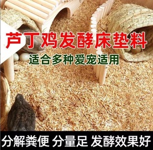 �J���u�|�ϰl�ʹ��S��ֽ�С�u����|�Ͼ��N����|��С���g���|��