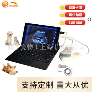 Customized Pet B-Ultrasound Diagnostic Equipment, Export Cat and Dog Fetal Heart Listening, Veterinary B-Ultrasound Machine Manufacturer
