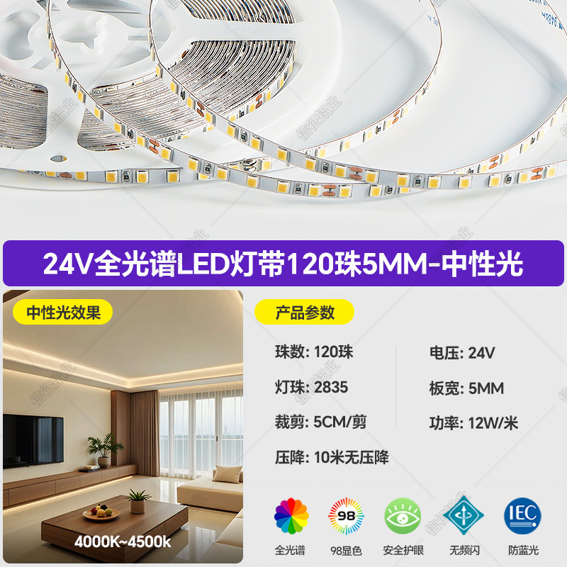 Tira de Luz LED Flexible para El Hogar 24V 2835 Baja Tensión, Regulable, Control Inteligente para Techo y Sala de Estar