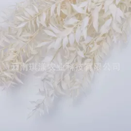 干花;永生花;鲜花花艺制品