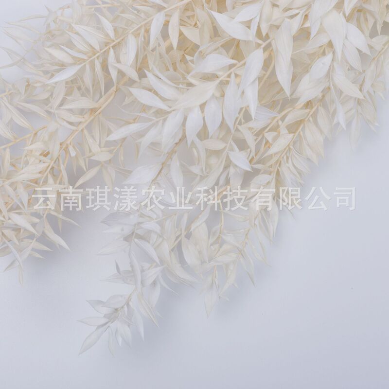 Dried Flowers Wholesale, Rich Leaves, White Reed Branches, Rich Leaves Manufacturers Wholesale, Yunnan Supply Dried Fruits