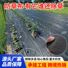 防草布厂家加工新款除草布地膜农用种菜防草膜地布隔草膜农用薄膜