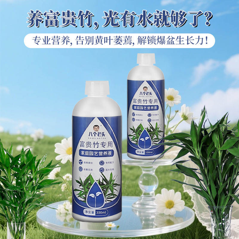 Special Nutrient Solution for Lucky Bamboo, Money Bamboo, Ornamental Bamboo, Hydroponic Plants, Pennywort, Green Plants, Potted Plants, General Flower Fertilizer Special Nutrient Solution for Lucky Bamboo, Money Bamboo, Ornamental Bamboo, Hydroponic Plants, Pennywort, Green Plants, Potted Plants, General Flower Fertilizer